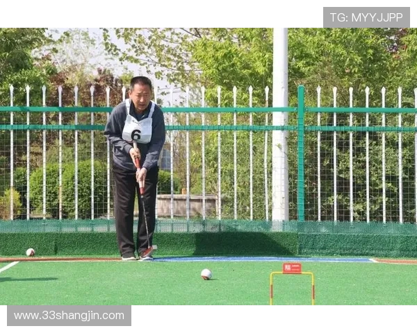 中国门球网比赛：探索传统与现代竞技的完美结合